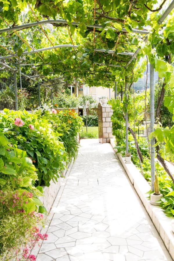 Villa Silvija مْليني المظهر الخارجي الصورة